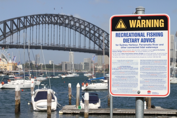 Image: Shane Chalker